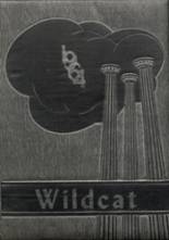 Archer City High School 1964 yearbook cover photo