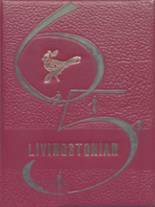 Livingston Central High School 1965 yearbook cover photo