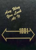 1991 North Augusta High School Yearbook from North augusta, South Carolina cover image