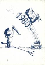 Dolgeville Central School 1980 yearbook cover photo