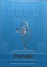 1989 Pinckneyville High School Yearbook from Pinckneyville, Illinois cover image