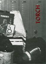 Munising High School 1987 yearbook cover photo