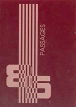 Rudyard High School 1985 yearbook cover photo