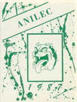 1987 Celina High School Yearbook from Celina, Ohio cover image