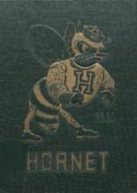 Huntsville High School 1981 yearbook cover photo