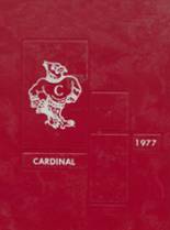 Collinsville High School 1977 yearbook cover photo