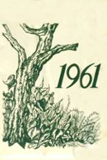 Lincoln School 1961 yearbook cover photo