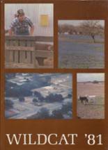 Yorktown High School 1981 yearbook cover photo