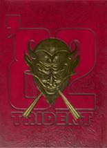 Kathleen High School 1982 yearbook cover photo