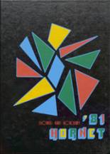 1981 Hart Academy Yearbook from Hartsville, South Carolina cover image