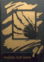 1991 Century High School Yearbook from Century, Florida cover image