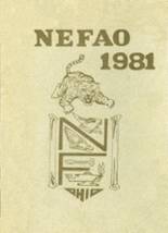 Newton Falls High School 1981 yearbook cover photo