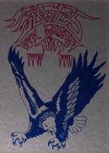 South Putnam High School 1991 yearbook cover photo
