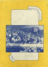 Pius Xi High School 1983 yearbook cover photo