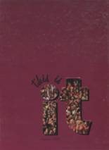 2007 Forest Lake High School Yearbook from Forest lake, Minnesota cover image
