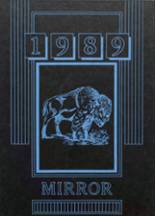 Mondovi High School 1989 yearbook cover photo