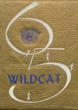 1965 Olive High School Yearbook from Drumright, Oklahoma cover image