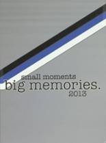 2013 Sartell High School Yearbook from Sartell, Minnesota cover image