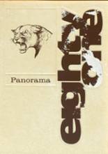 Panama High School 1981 yearbook cover photo