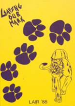 1988 Panhandle High School Yearbook from Panhandle, Texas cover image