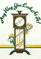 Geneseo Senior High School 1990 yearbook cover photo
