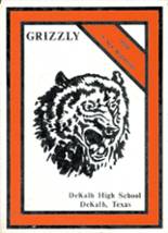 DeKalb High School 1981 yearbook cover photo