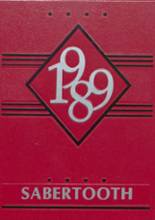 Blountstown High School 1989 yearbook cover photo