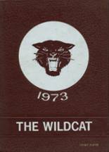 Henry County High School 1973 yearbook cover photo