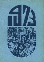 Nicollet High School 1973 yearbook cover photo