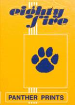 1985 Pike Valley High School Yearbook from Scandia, Kansas cover image