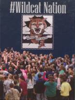 Napoleon High School 2013 yearbook cover photo