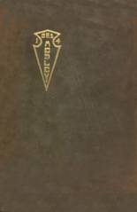 Danville High School 1914 yearbook cover photo