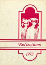 Weyauwega High School 1973 yearbook cover photo
