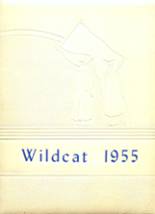 1955 Fruita High School Yearbook from Fruita, Colorado cover image