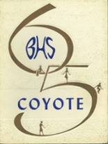 1965 Borden High School Yearbook from Gail, Texas cover image