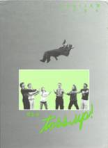 Wyalusing Valley High School 1991 yearbook cover photo