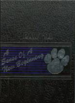 1991 Albany High School Yearbook from Albany, Minnesota cover image