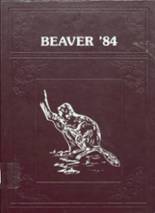 1984 St. Edward High School Yearbook from St. edward, Nebraska cover image