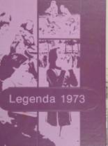 Arthur Hill High School 1973 yearbook cover photo