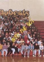 Somonauk High School 1990 yearbook cover photo