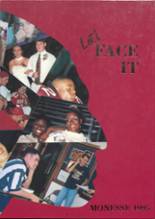 Momence High School 1995 yearbook cover photo