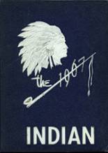 1967 New Hope High School Yearbook from New hope, Alabama cover image