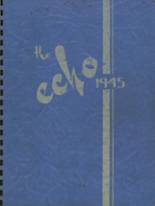 Allegan High School 1945 yearbook cover photo
