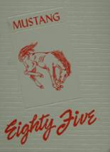 Denver City High School 1985 yearbook cover photo