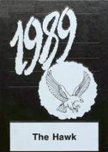 River Valley High School 1989 yearbook cover photo