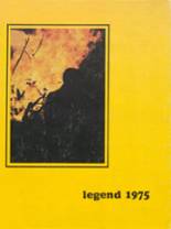 1975 Montabella High School Yearbook from Blanchard, Michigan cover image