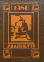 Lester Prairie High School 1980 yearbook cover photo