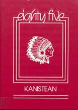 Canisteo High School 1985 yearbook cover photo