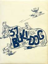 Bald Knob High School 1957 yearbook cover photo