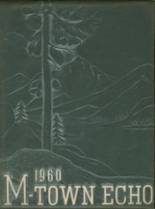 Middletown Area High School 1960 yearbook cover photo